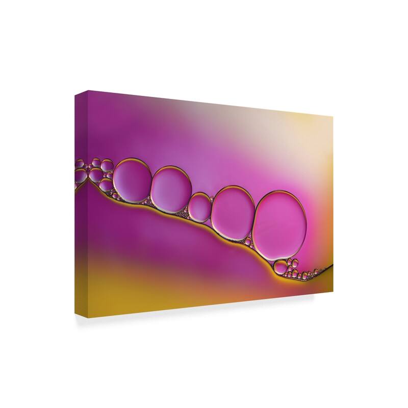 Heidi Westum 'Sweet Blush' Canvas Art Multicolor Bed Bath & Beyond