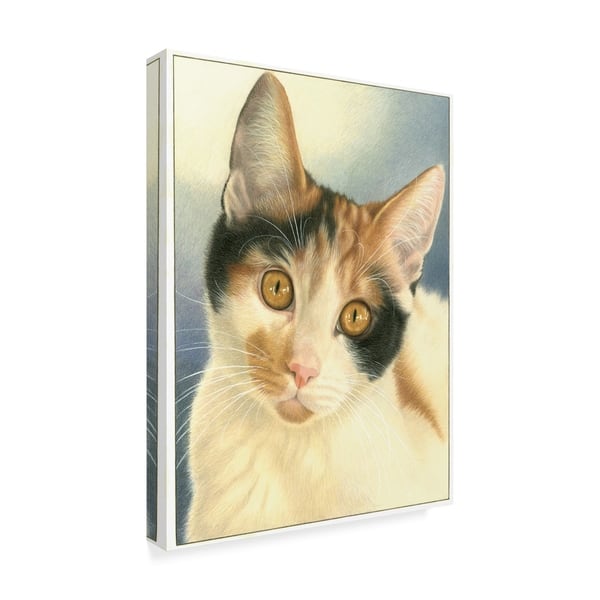 Shop Francien Van Westering Speckled Cats Canvas Art Multi