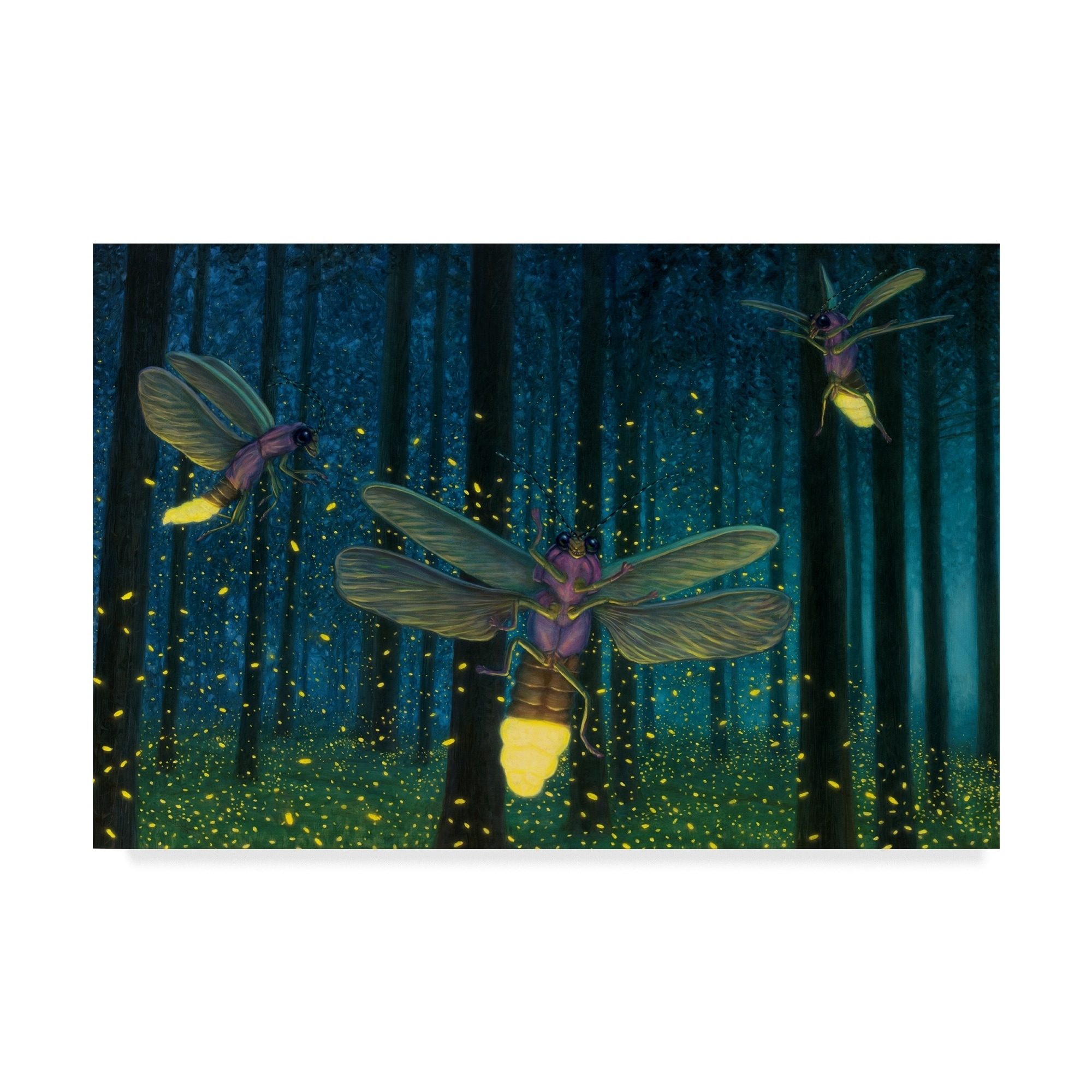 James W. Johnson 'Night Light Flight' Canvas Art - Multi-color
