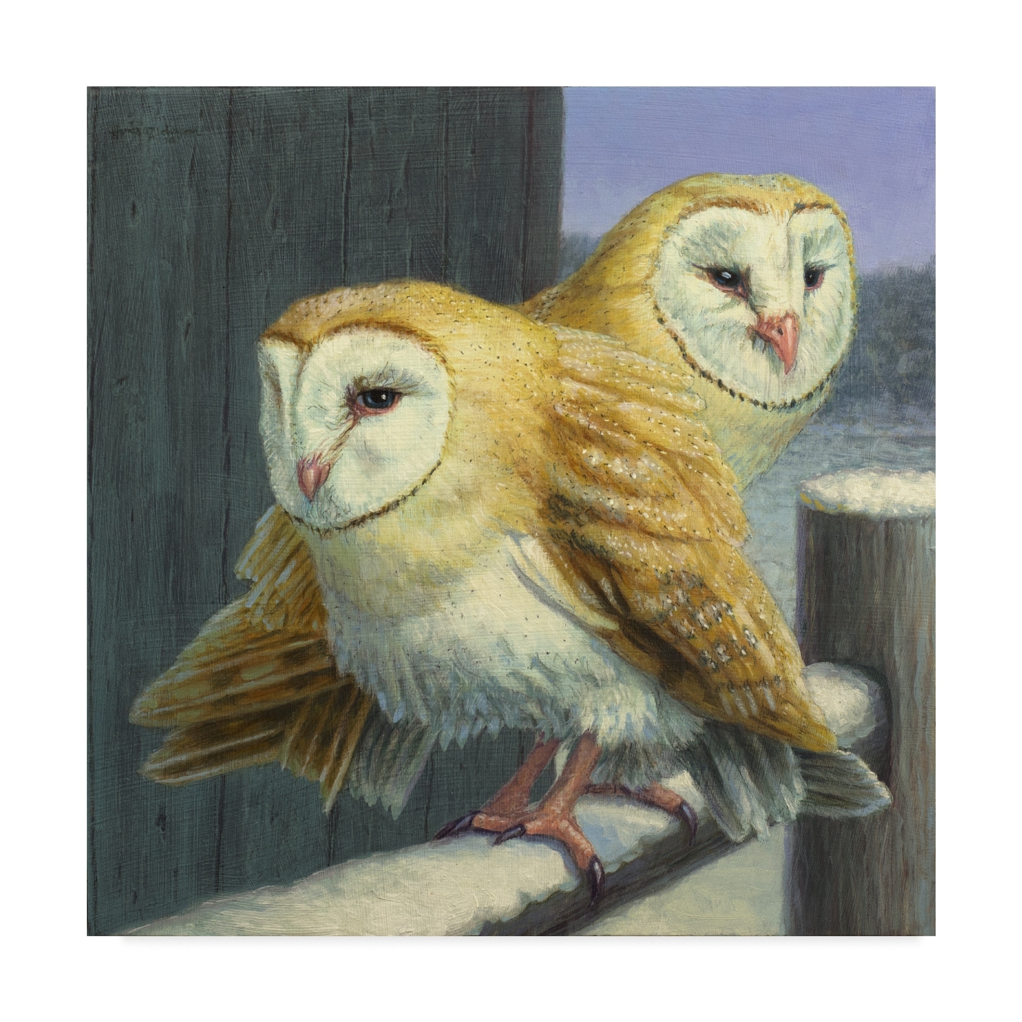 Shop James W Johnson Barn Owl Couple Canvas Art Multi Color