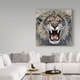 Harro Maass 'Lion Roaring' Canvas Art - Multi-color - On Sale - Bed ...