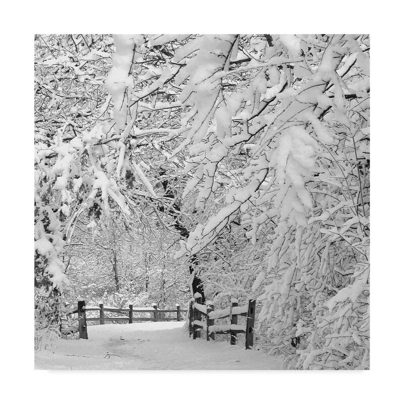 Incredi 'Winter Wonderland White' Canvas Art - Multi-color