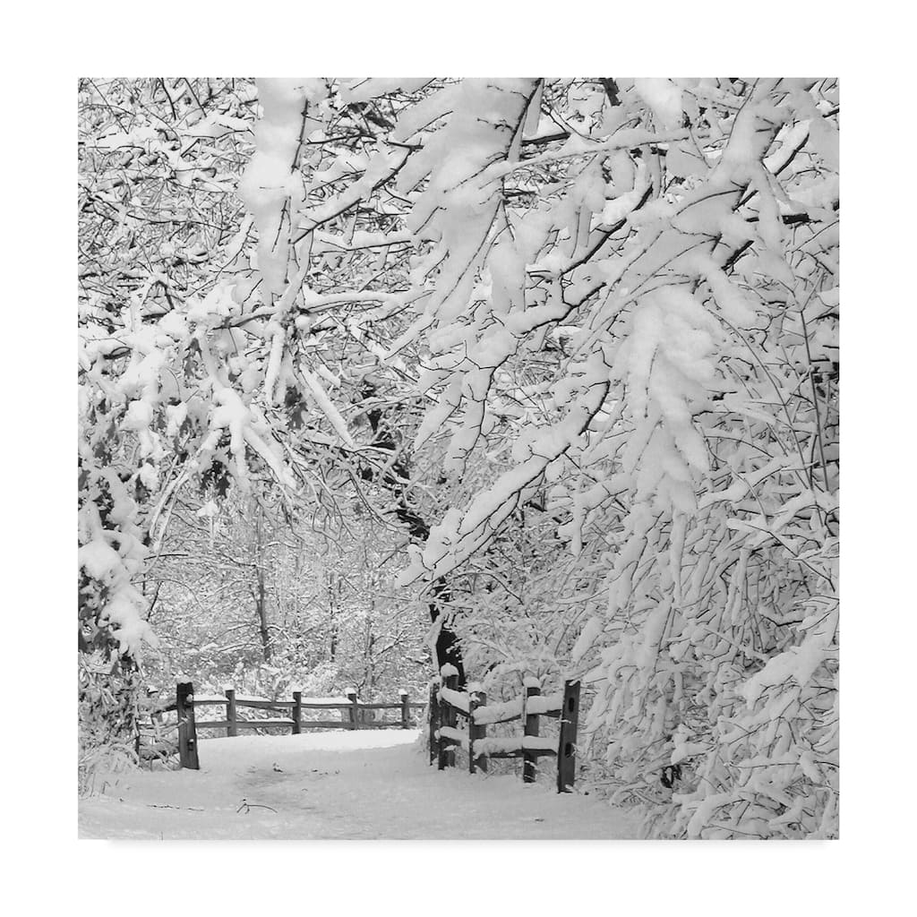 Incredi 'Winter Wonderland White' Canvas Art - Multi-color
