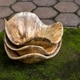 preview thumbnail 10 of 8, Uttermost Tamarine Wood Wall Arts (Set of 3) - 10 x 10