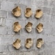 preview thumbnail 9 of 8, Uttermost Tamarine Wood Wall Arts (Set of 3) - 10 x 10