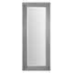preview thumbnail 1 of 0, Uttermost Amadeus Metallic Silver Mirror