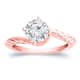 Option Rose