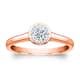 Option Rose