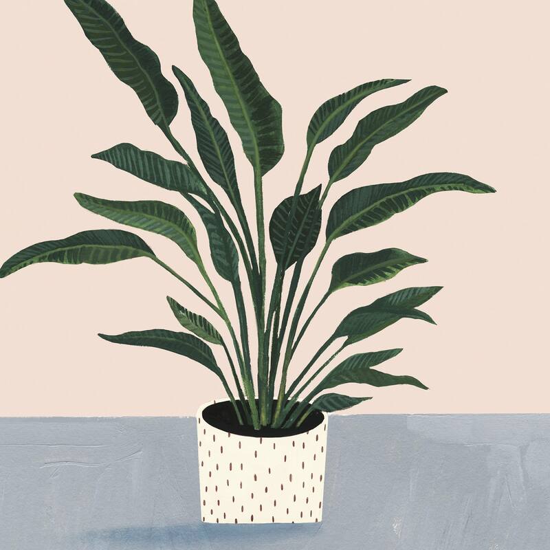 Houseplant IV' Painting Print on Wrapped Canvas - Multi-Color