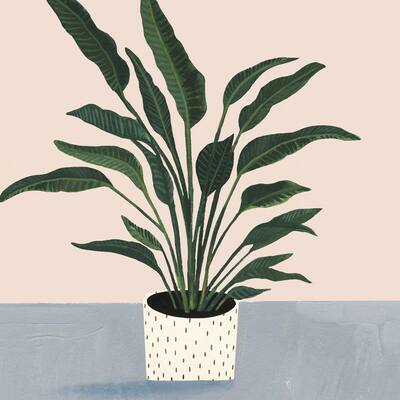 Houseplant IV' Painting Print on Wrapped Canvas - Multi-Color
