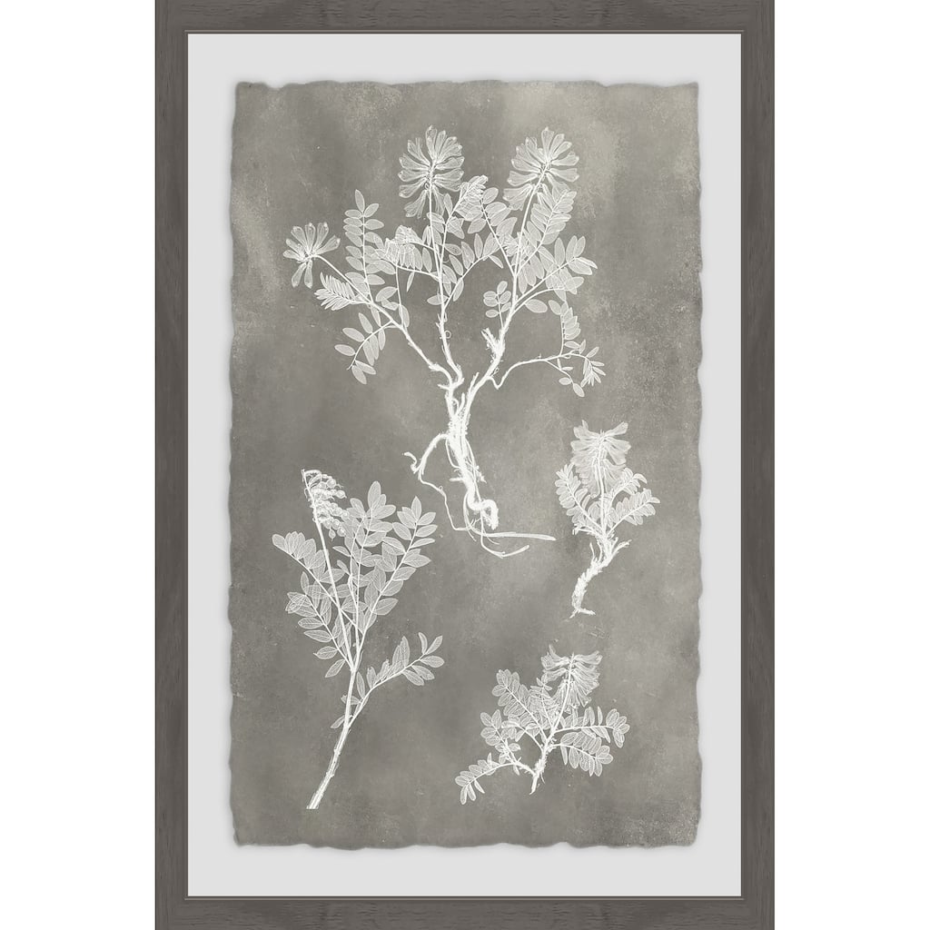 Herbarium Study III' Framed Painting Print - Multi-Color