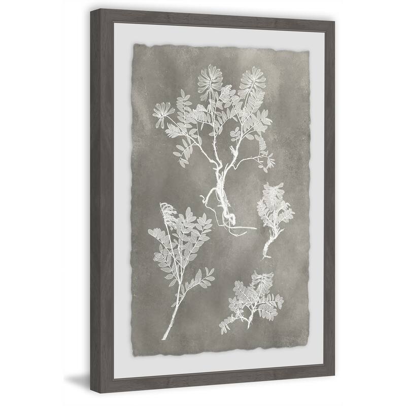 Herbarium Study III' Framed Painting Print - Multi-Color
