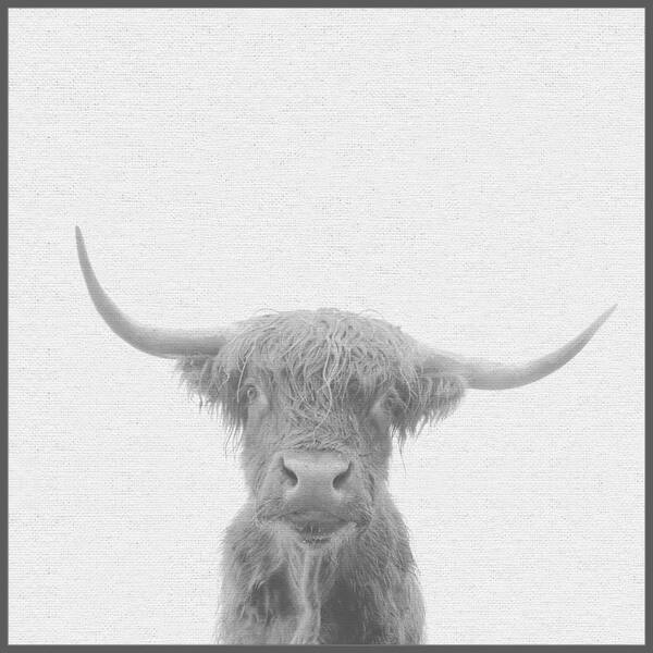 Shop Marmont Hill Handmade Black White Buffalo Floater Framed