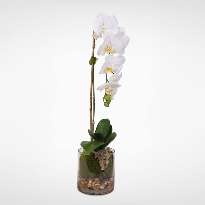 Real Touch White Phalaenopsis Orchid and leaf in a Sleek Glass Vase