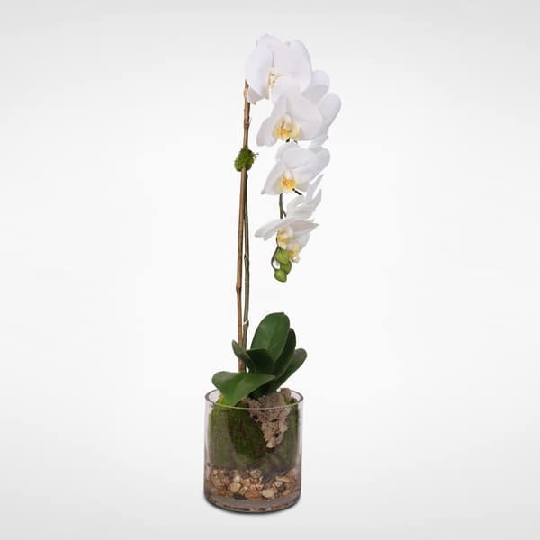 Real Touch White Phalaenopsis Orchid and leaf in a Sleek Glass Vase