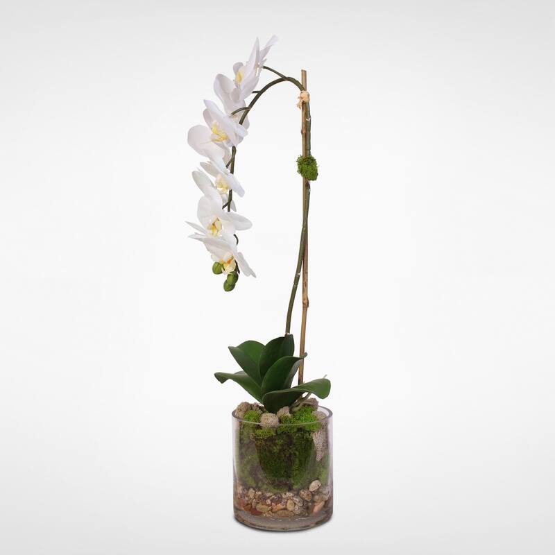 Real Touch White Phalaenopsis Orchid and leaf in a Sleek Glass Vase