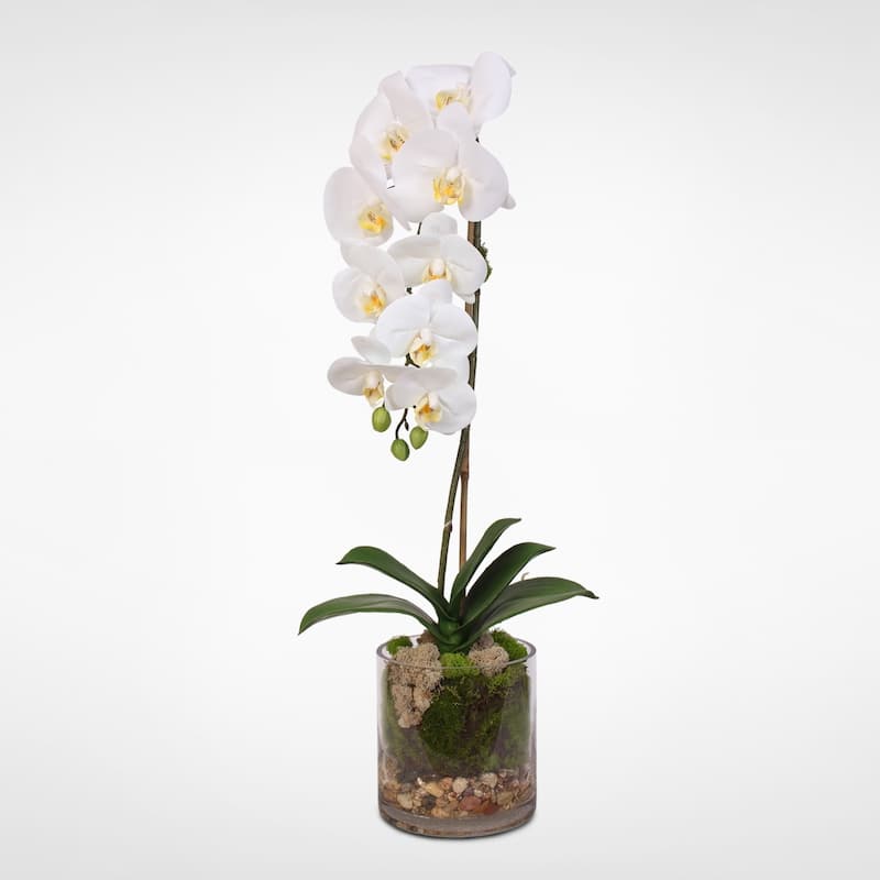 Real Touch White Phalaenopsis Orchid and leaf in a Sleek Glass Vase