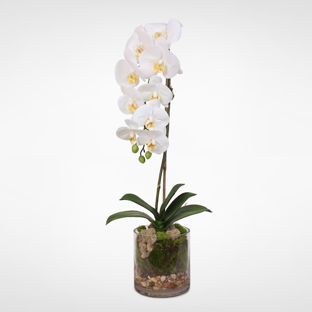 Real Touch White Phalaenopsis Orchid and leaf in a Sleek Glass Vase