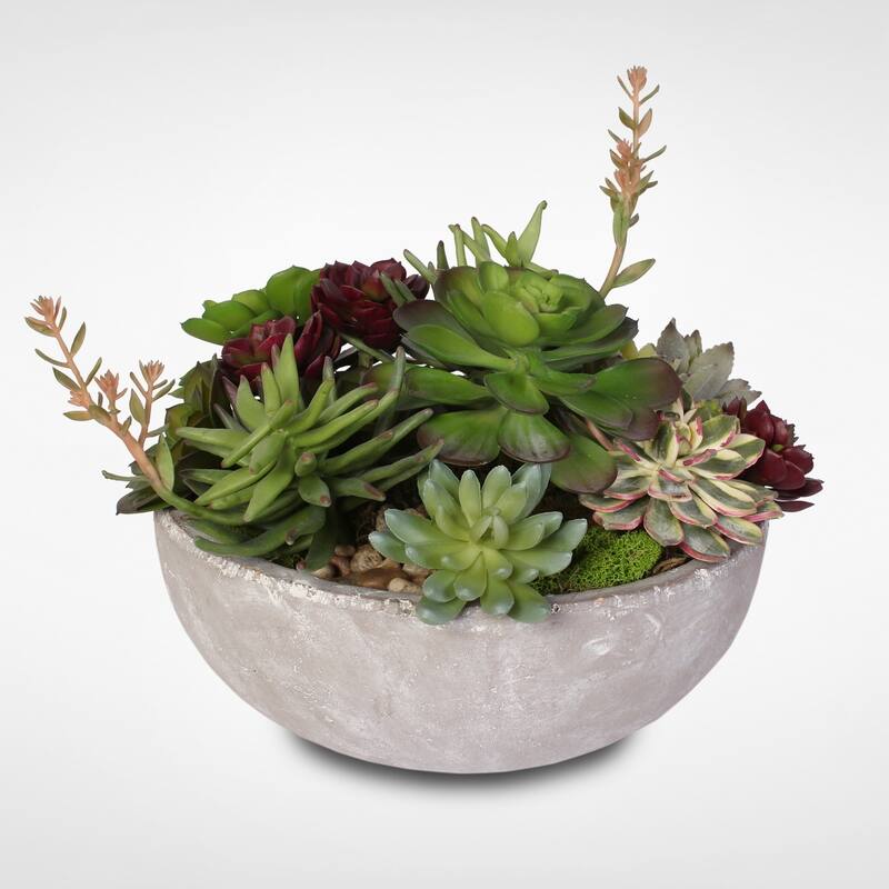 Artificial Succulent Variety in a Modern Cement Round Bowl