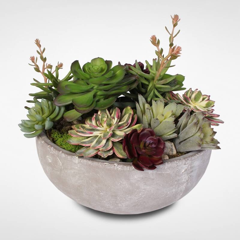 Artificial Succulent Variety in a Modern Cement Round Bowl