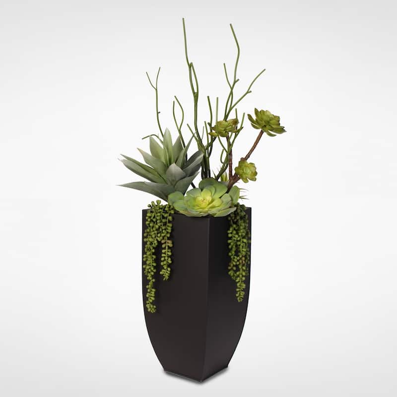 Botanical Succulent Variety in a Tall Black Modern Metal Planter - Green