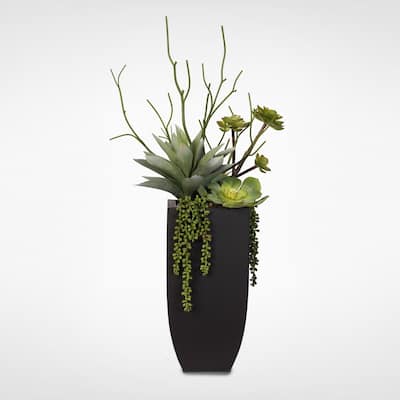 Botanical Succulent Variety in a Tall Black Modern Metal Planter - Green