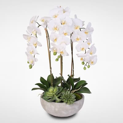 Silk White Phalaenopsis Orchids and Succulents in a Modern Stone Bowl