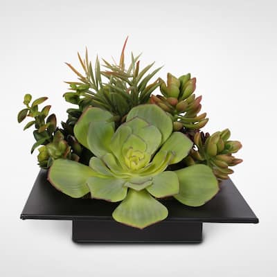 Lush Green Artificial Succulents in a Sleek Modern Container
