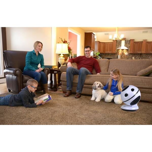 Shop Edenpure 360 Air Fan With Oscillation And Remote Free