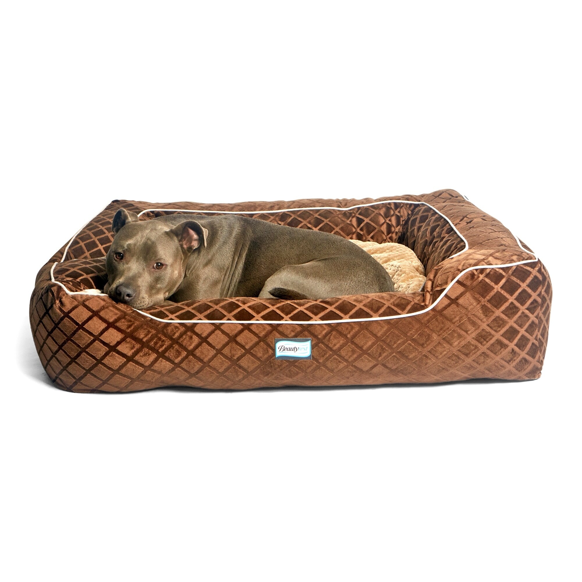 beautyrest super lux dog bed sofa