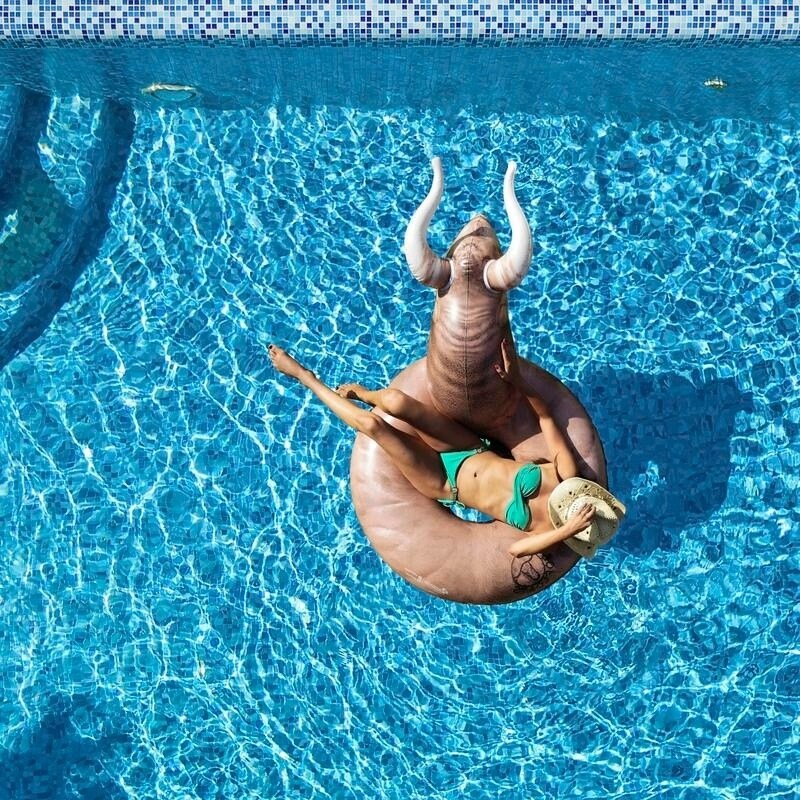 bucking bull pool toy