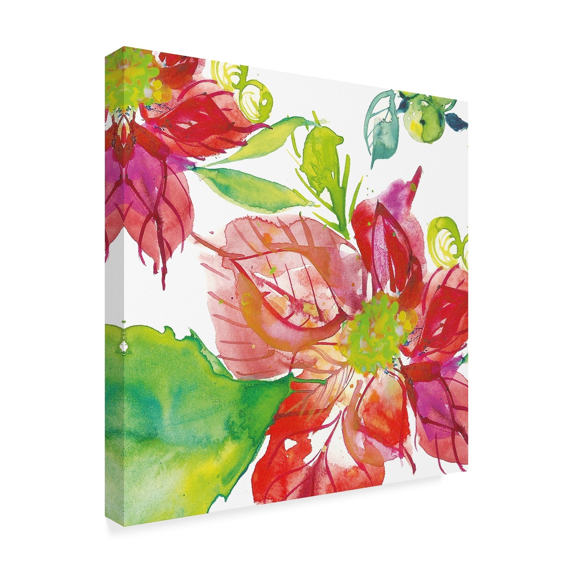 Trademark Fine Art 'Poinsettia Pretty IV' Canvas Art by Kristy Rice 