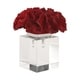 preview thumbnail 1 of 3, Uttermost Red Coral Cluster