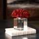 preview thumbnail 4 of 3, Uttermost Red Coral Cluster