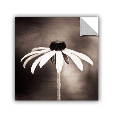 ArtWall Simply Stated Removable Wall Art