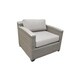 preview thumbnail 3 of 10, Florence Club Chair Ash