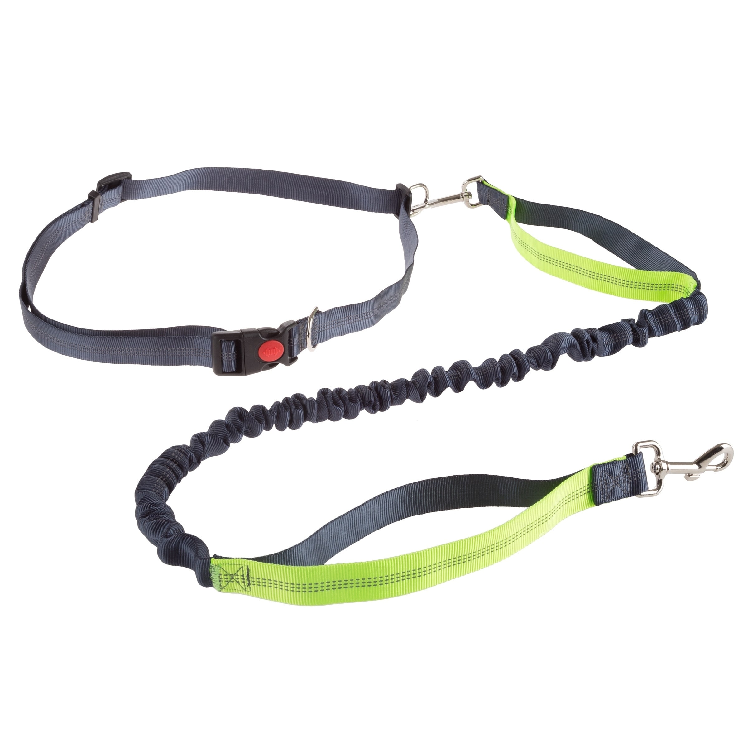 hands free bungee leash
