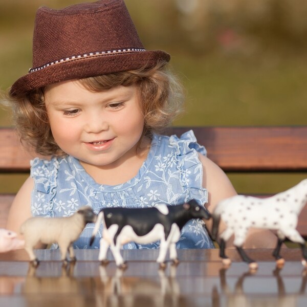 child farm set