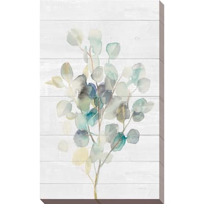 "Eucalyptus III on Shiplap" Print on Canvas