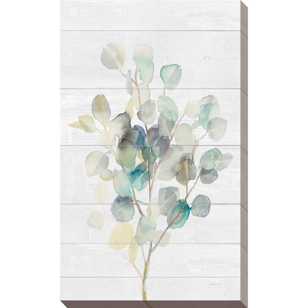 "Eucalyptus III on Shiplap" Print on Canvas