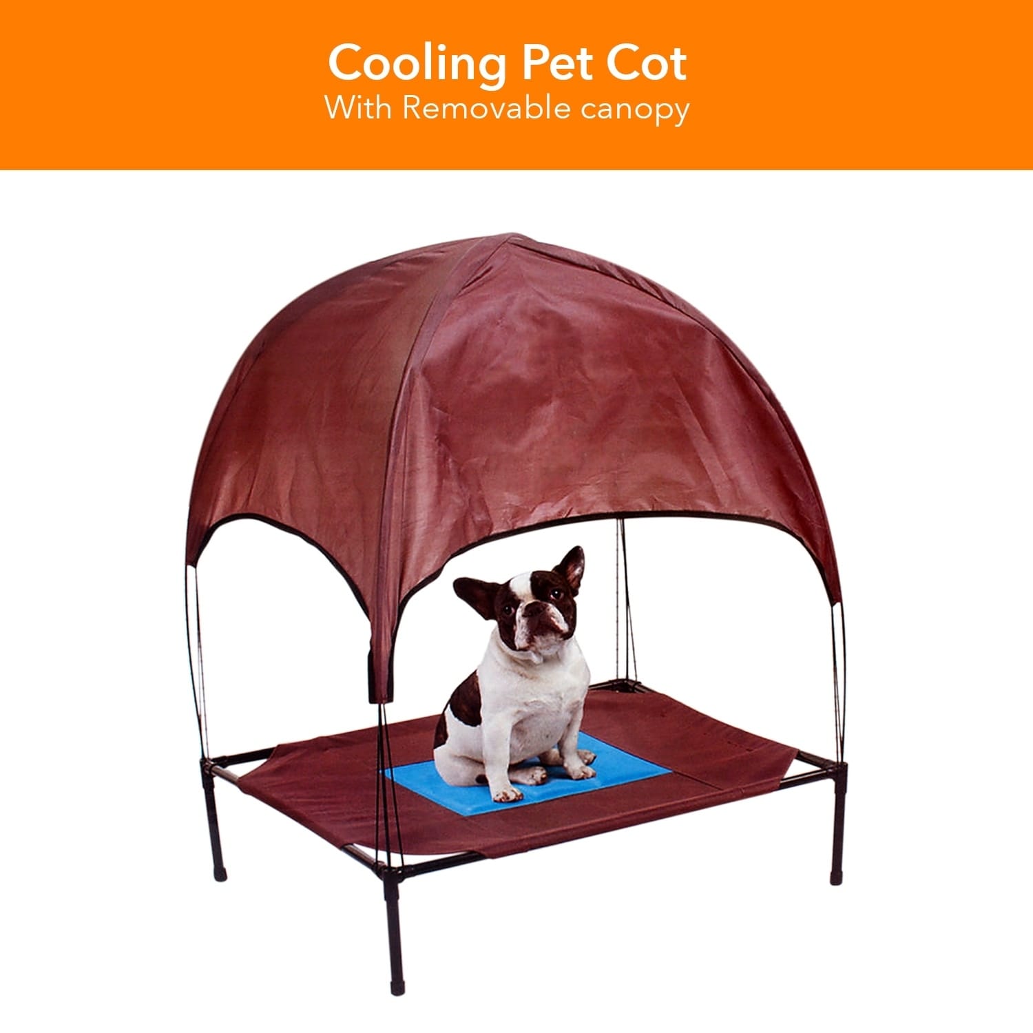 pet cot and canopy