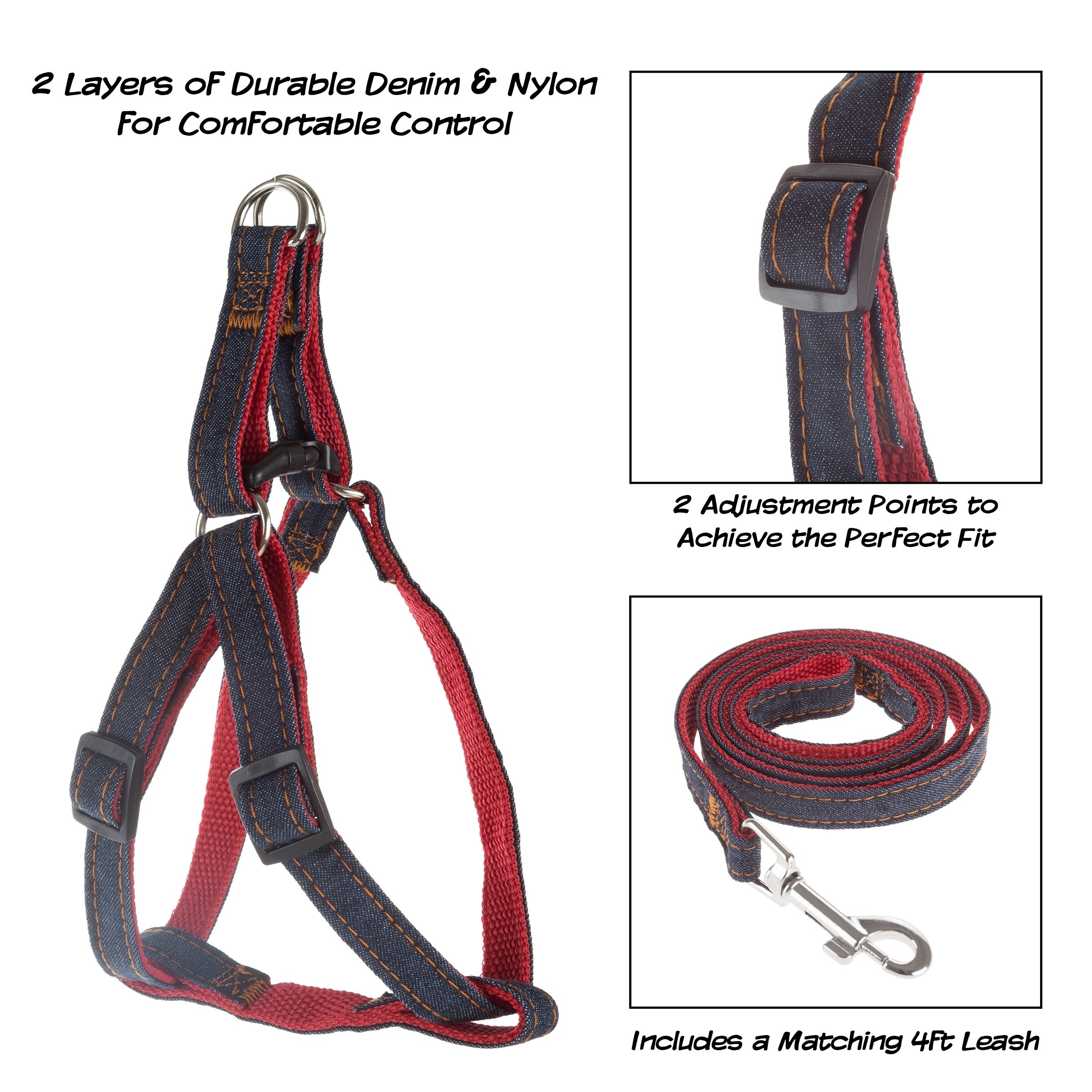 matching harness and leash