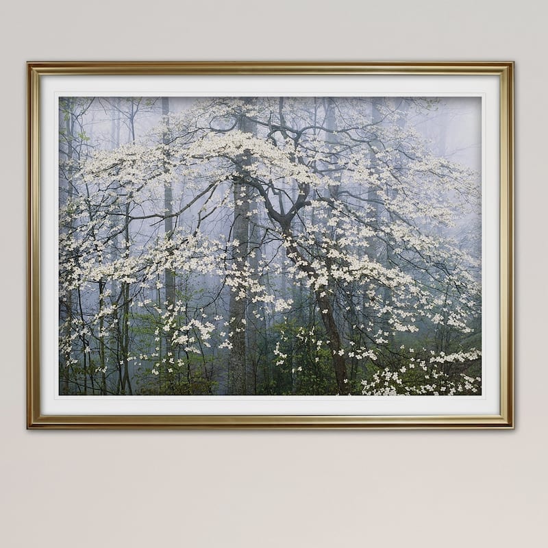 Jones _ Dogwood Canopy-Premium Framed Print - blue, green, white, black, red, grey, yellow,