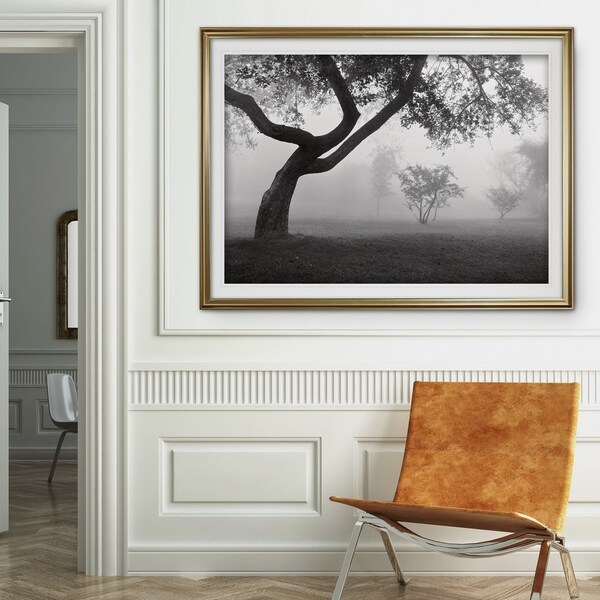 Shop Into The Mist Premium Framed Print On Sale Free Shipping