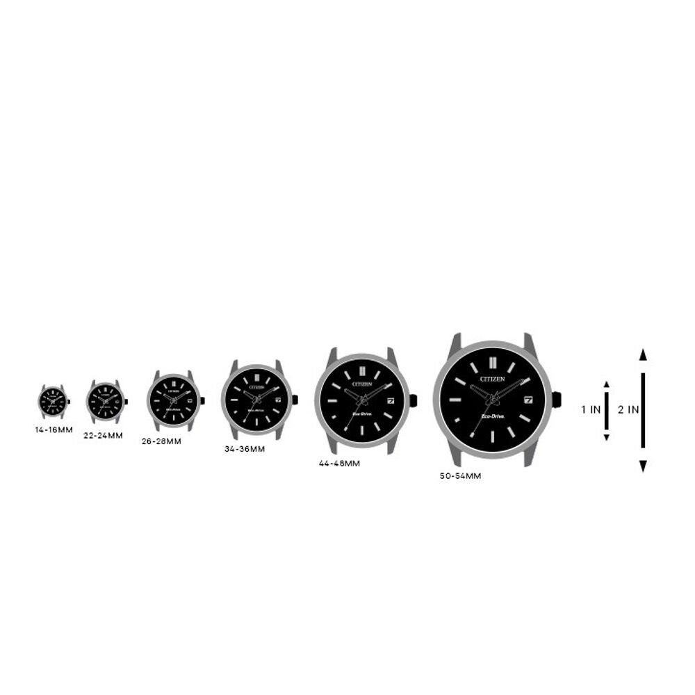 citizen eco drive jolie watch