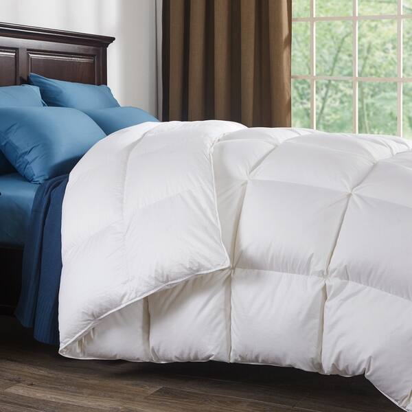 Shop St James Home 800 Fill Power White Goose Down Comforter