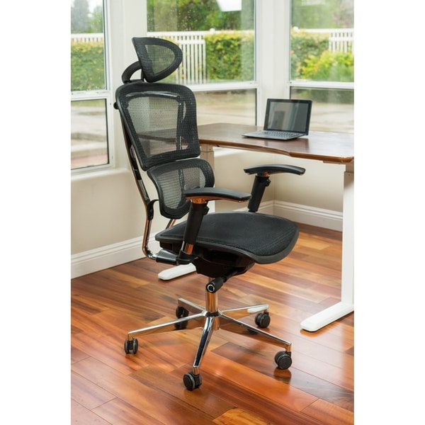 ErgoMax Ergonomic Adjustable Executive Office Chair w/ Headrest and Black Mesh