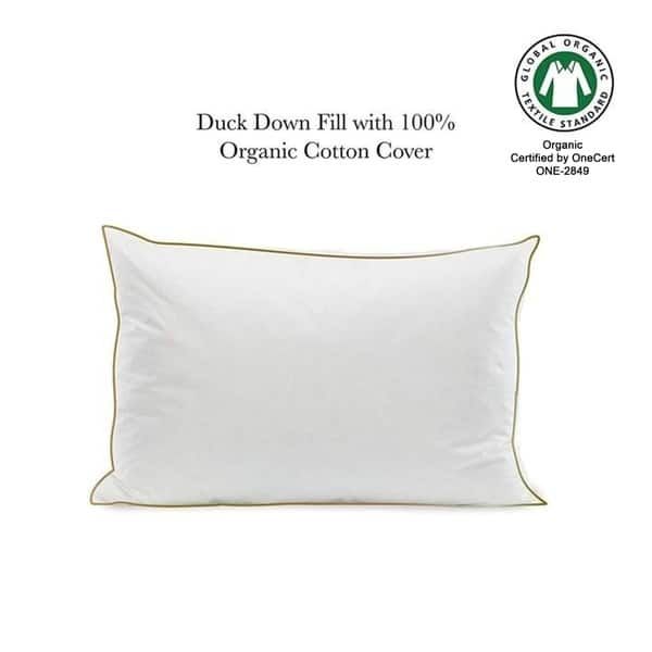 https://ak1.ostkcdn.com/images/products/22339741/Luxury-White-Duck-Down-Organic-Cotton-Pillow-20-x-28-144ae20b-0190-4320-84d0-a57c6d255636_600.jpg?impolicy=medium