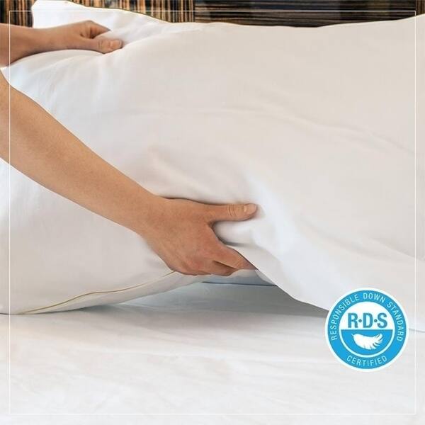 Shop Luxury White Duck Down Organic Cotton Pillow 20 X 28 Free
