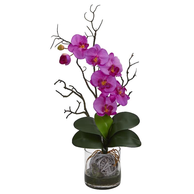 Phalaenopsis Orchid Artificial Arrangement In Vase - On Sale - Bed Bath 